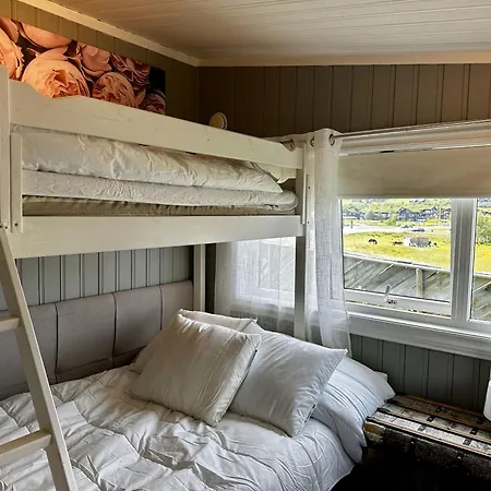 Cozy With Perfect Location In *